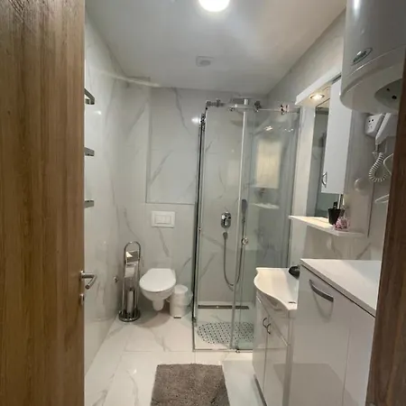 21 Elsa Iii Lägenhet Zlatibor