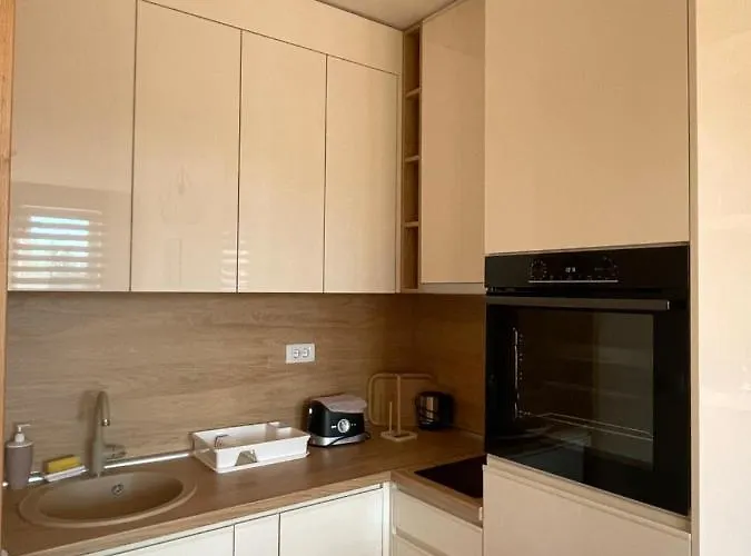 21 Elsa Iii Zlatibor