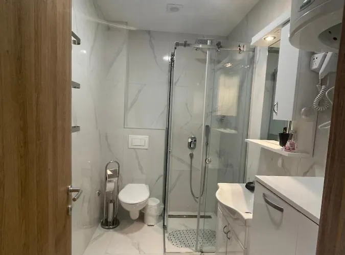 21 Elsa Iii Apartment Zlatibor